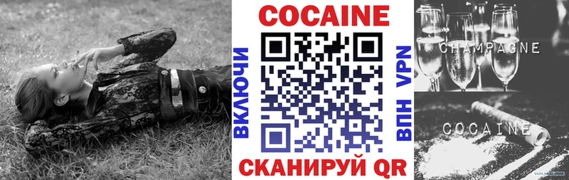 Купить закладки  Сланцы  Кокаин Fish Scale 