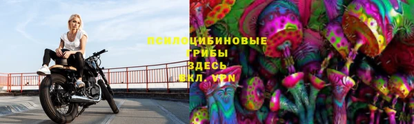 гидропоника Балахна