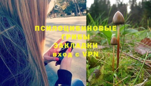 гидропоника Балахна