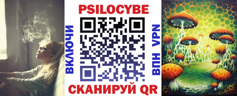 Псилоцибиновые грибы GOLDEN TEACHER  Купить закладки  Сланцы 
