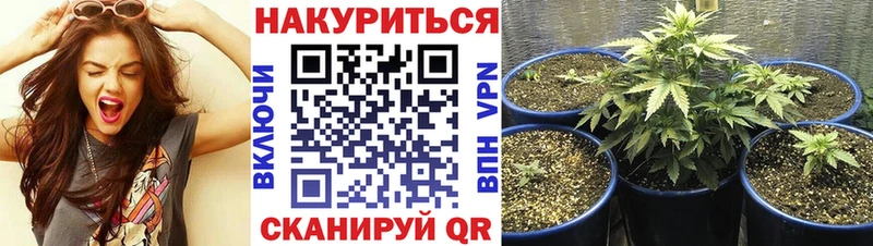 Бошки Шишки план  Купить  Сланцы 